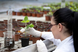 Read more about the article Doctor of Philosophy in Agriculture (Agricultural Business)