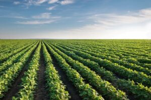 Read more about the article All about Agriculture Education in India