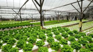Read more about the article Careers in Agricultural Engineering